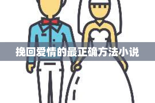 挽回爱情的最正确方法小说
