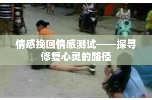 情感挽回情感测试——探寻修复心灵的路径