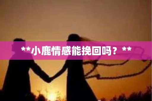 **小鹿情感能挽回吗？**