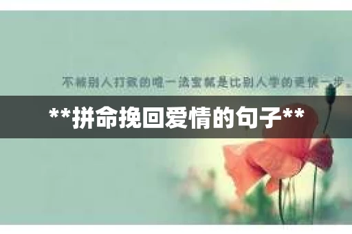 **拼命挽回爱情的句子**