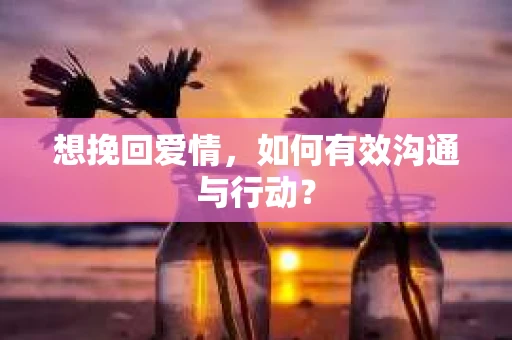 想挽回爱情，如何有效沟通与行动？