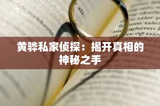 黄骅私家侦探：揭开真相的神秘之手