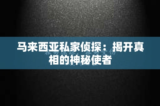 马来西亚私家侦探：揭开真相的神秘使者