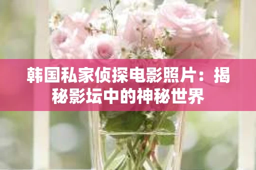 韩国私家侦探电影照片：揭秘影坛中的神秘世界