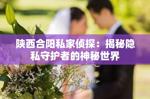 陕西合阳私家侦探：揭秘隐私守护者的神秘世界