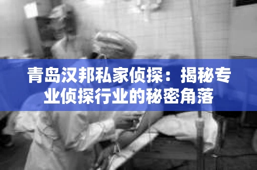 青岛汉邦私家侦探：揭秘专业侦探行业的秘密角落