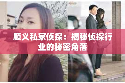 顺义私家侦探：揭秘侦探行业的秘密角落