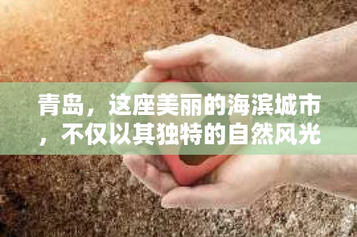 青岛，这座美丽的海滨城市，不仅以其独特的自然风光著称，更以其发达的经济和便捷的交通吸引了众多企业和个人。然而，随着商业活动的日益频繁，债务问题也日益凸显。这时，青岛专业催收公司的出现，无疑为解决债务问题提供了一种高效、合法的途径。