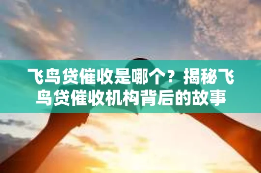飞鸟贷催收是哪个？揭秘飞鸟贷催收机构背后的故事