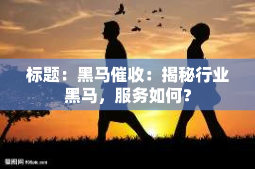 标题：黑马催收：揭秘行业黑马，服务如何？