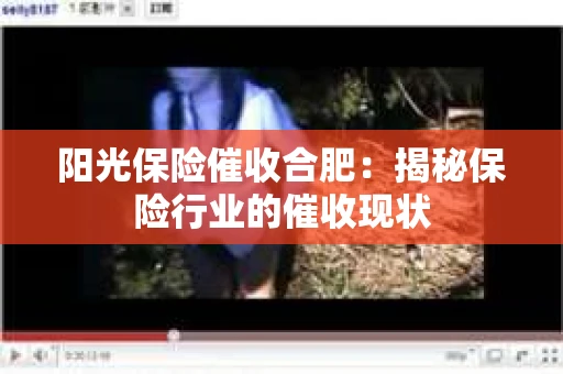 阳光保险催收合肥：揭秘保险行业的催收现状