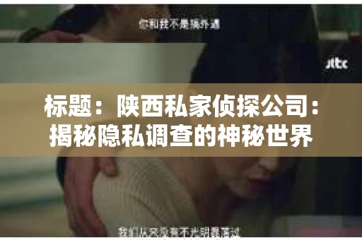 标题：陕西私家侦探公司：揭秘隐私调查的神秘世界