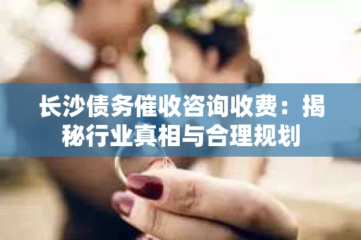 长沙债务催收咨询收费：揭秘行业真相与合理规划