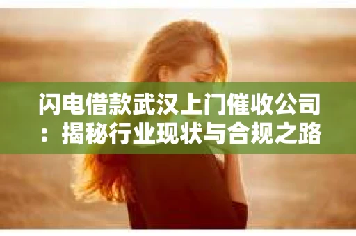 闪电借款武汉上门催收公司：揭秘行业现状与合规之路