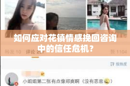 如何应对花镇情感挽回咨询中的信任危机？