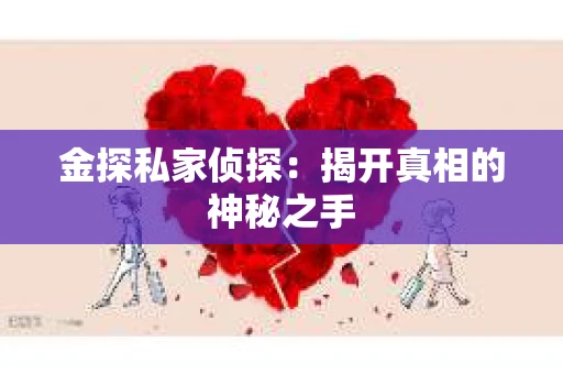 金探私家侦探：揭开真相的神秘之手