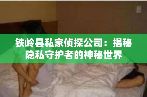 铁岭县私家侦探公司：揭秘隐私守护者的神秘世界