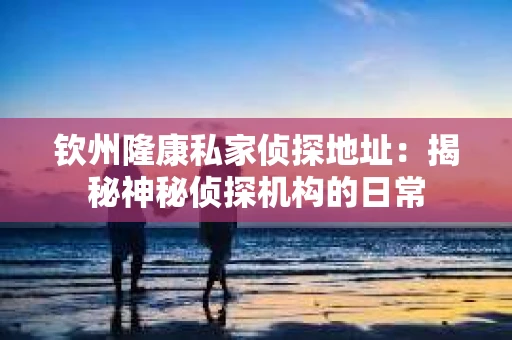 钦州隆康私家侦探地址：揭秘神秘侦探机构的日常