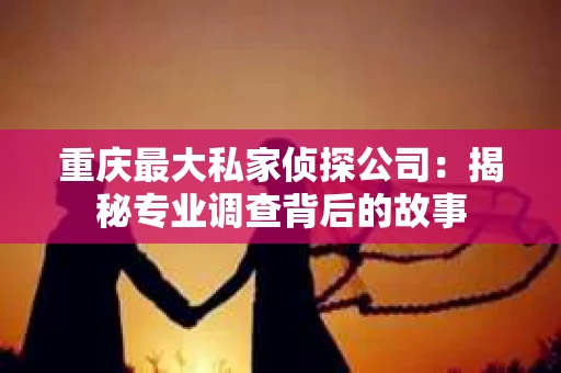 重庆最大私家侦探公司：揭秘专业调查背后的故事
