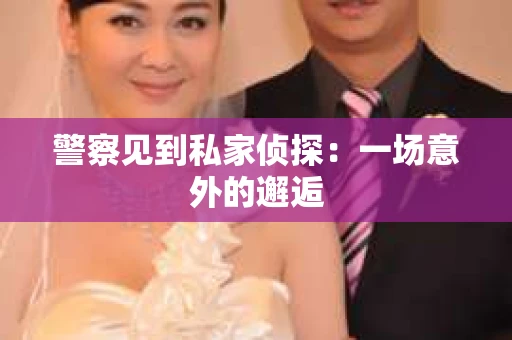 警察见到私家侦探：一场意外的邂逅