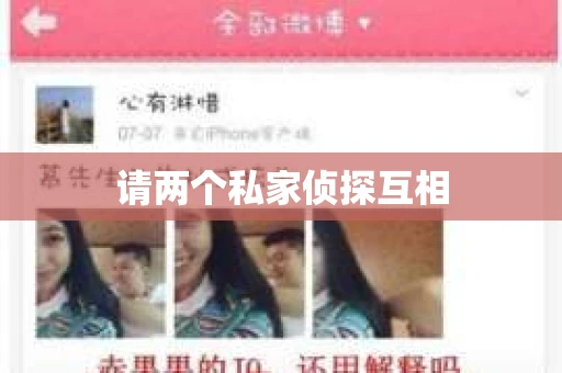 请两个私家侦探互相