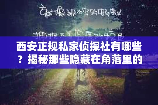 西安正规私家侦探社有哪些？揭秘那些隐藏在角落里的神秘力量