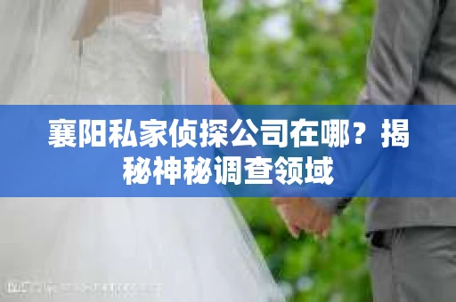 襄阳私家侦探公司在哪？揭秘神秘调查领域