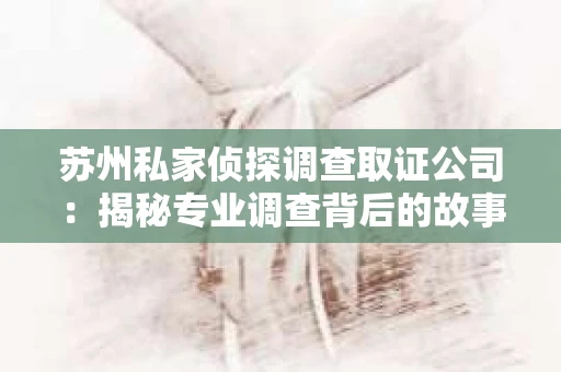 苏州私家侦探调查取证公司：揭秘专业调查背后的故事