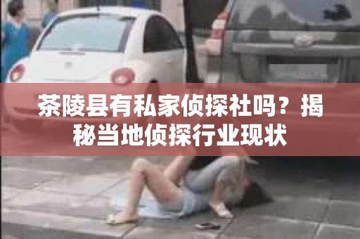 茶陵县有私家侦探社吗？揭秘当地侦探行业现状