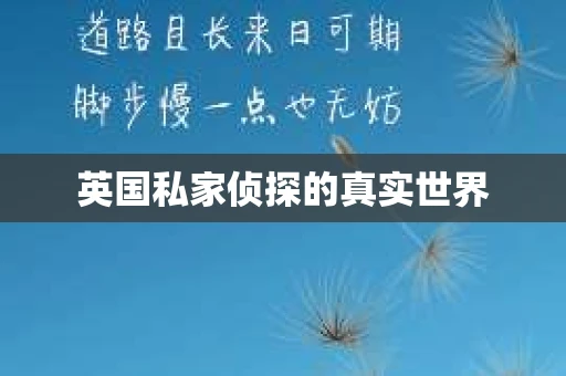 英国私家侦探的真实世界