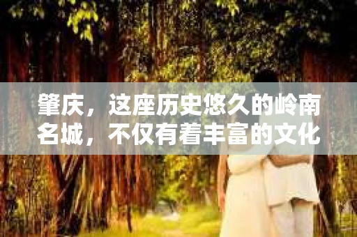 肇庆，这座历史悠久的岭南名城，不仅有着丰富的文化遗产，还有着独特的现代生活节奏。在这个城市里，你是否曾有过需要帮助解决一些棘手问题的时候？或许，你听说过肇庆有私家侦探，那么，他们究竟是怎样的存在呢？