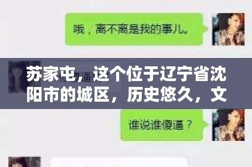 苏家屯，这个位于辽宁省沈阳市的城区，历史悠久，文化底蕴深厚。近年来，随着社会的发展，人们对于私家侦探的需求也逐渐增加。那么，苏家屯有私家侦探吗？今天，我们就来聊聊这个话题。