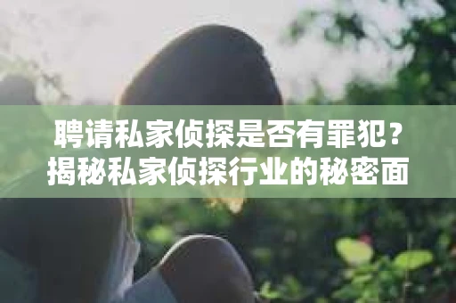 聘请私家侦探是否有罪犯？揭秘私家侦探行业的秘密面纱