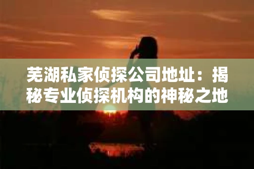 芜湖私家侦探公司地址：揭秘专业侦探机构的神秘之地