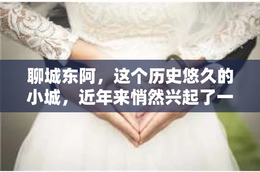 聊城东阿，这个历史悠久的小城，近年来悄然兴起了一股新的服务潮流——私家侦探。今天，我们就来聊聊这个话题，看看在聊城东阿，私家侦探是如何成为人们生活中的一部分的。