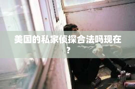 美国的私家侦探合法吗现在？