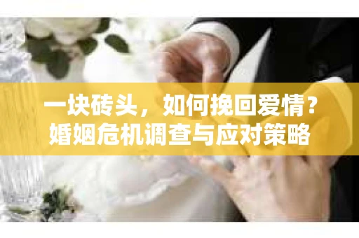 一块砖头，如何挽回爱情？婚姻危机调查与应对策略