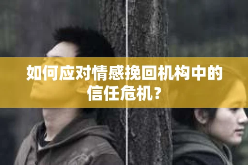 如何应对情感挽回机构中的信任危机？